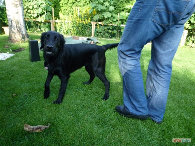 22-6-09 viereinhalb Monate