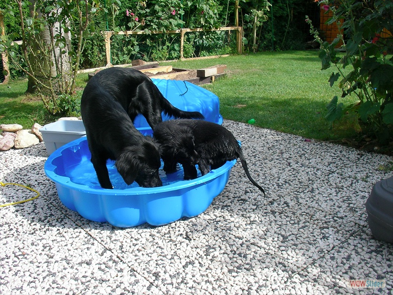 26-7-09, Alisha & Eliot