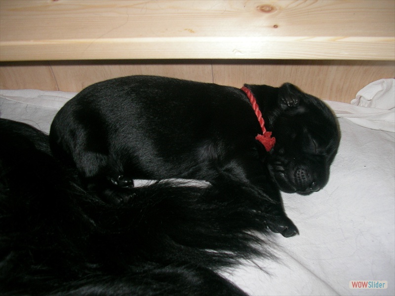 7-2-09 Alisha
