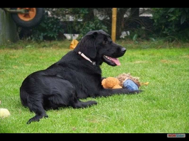 13.9. Anouk2