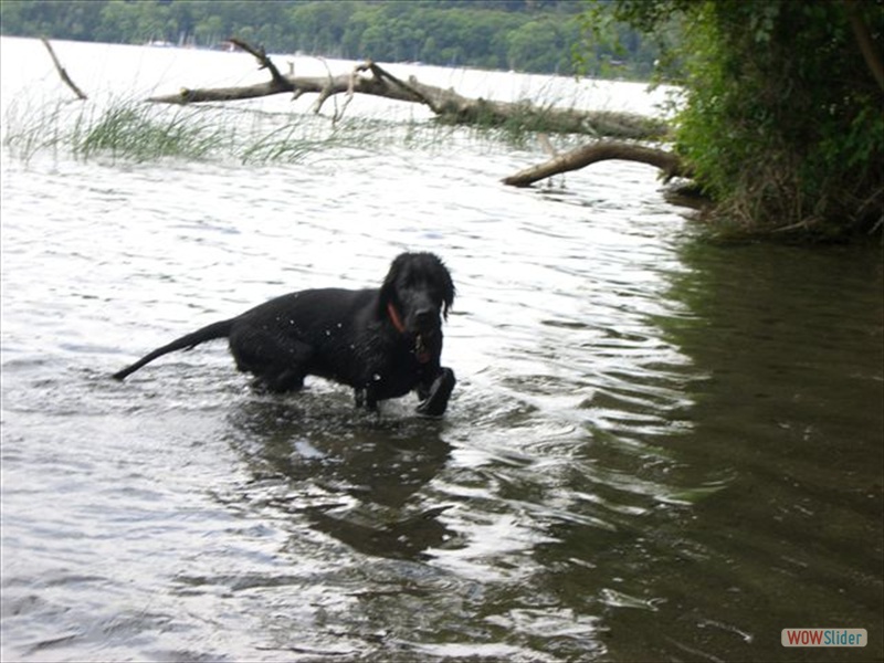 31-5-09Laacher See