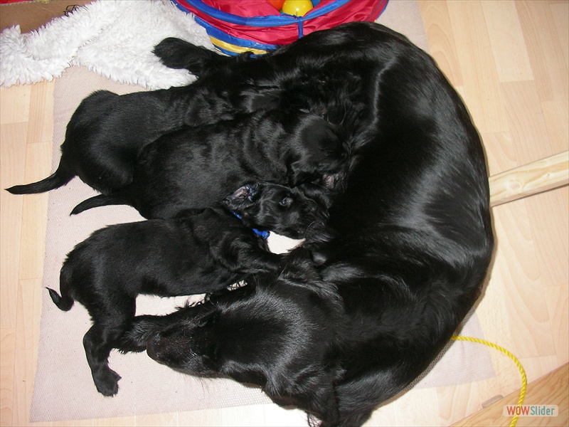 7.3. 3,5 kg in nur 5 Wochen