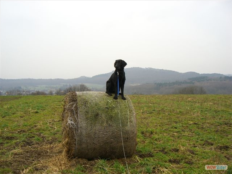 Anouk 14-2-11_2