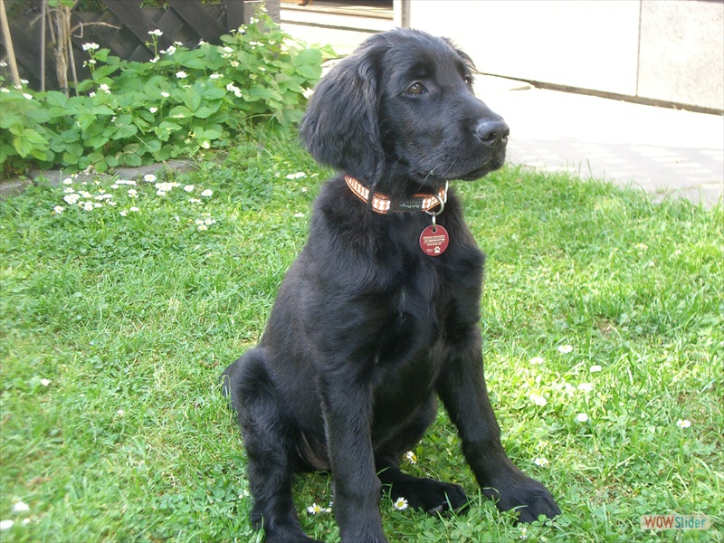 Anouk 1-5-09