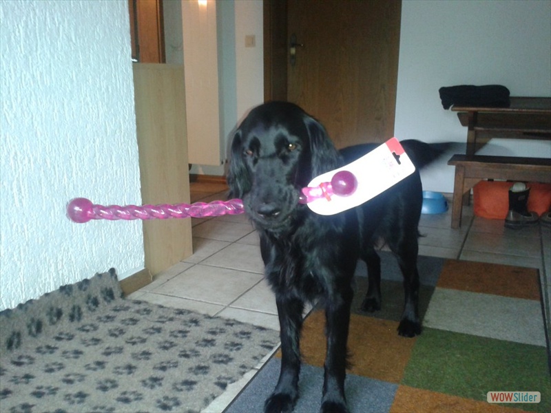 Anouk 15-12-2013