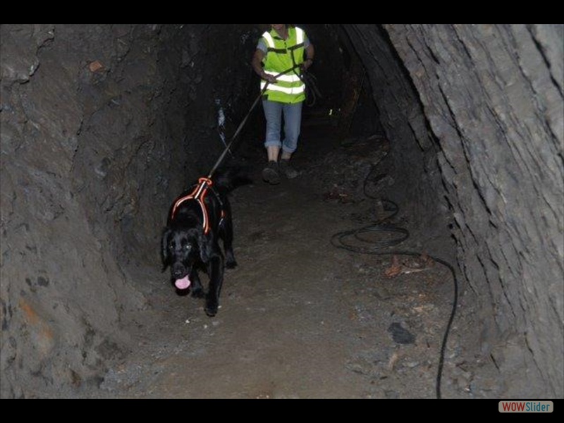 Anouk trailt im Bergwerk Aug 2013 (2)