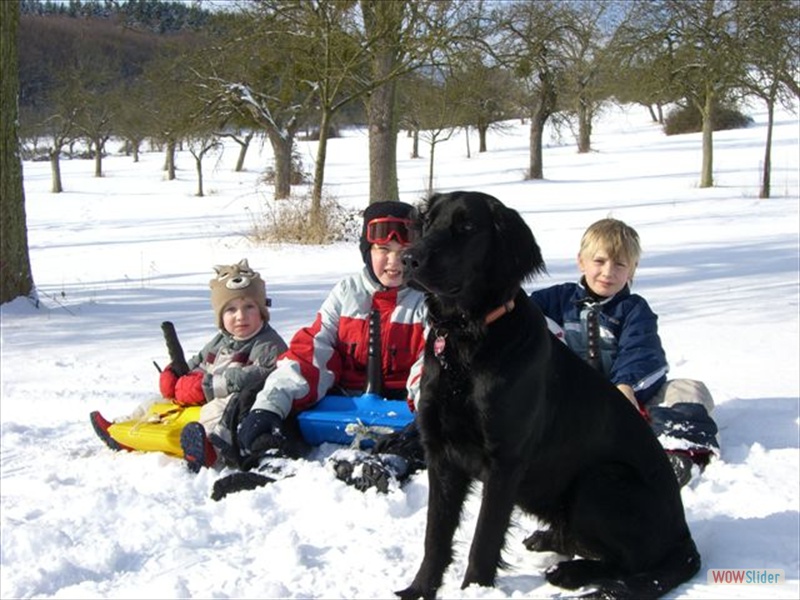 Januar 2010
