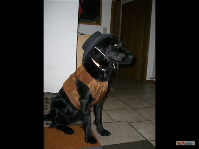 Karneval 2010