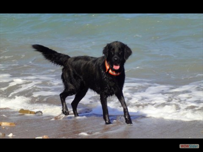 Kr�mel auf Kreta 24-10-2013