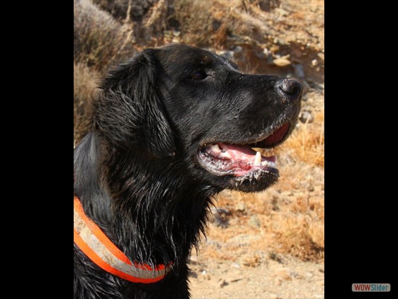 Kr�mel auf Kreta 24-10-2013 (1)