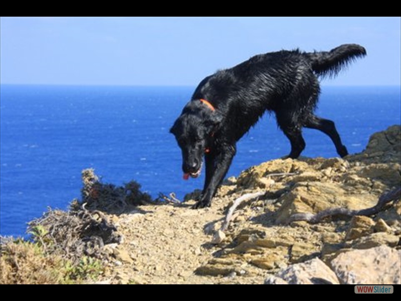 Kr�mel auf Kreta 24-10-2013 (2)