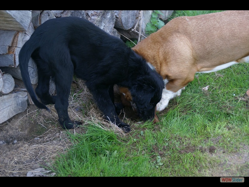 11.4.11 Buddeln macht Bock