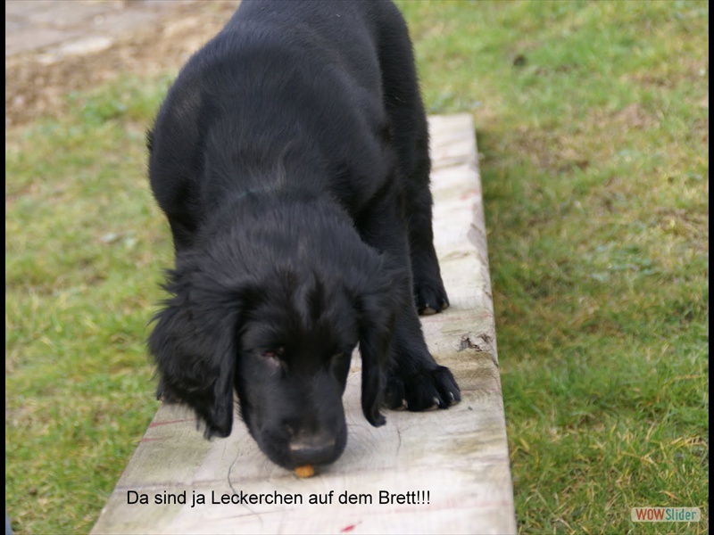 13.3.11 Auf geht's