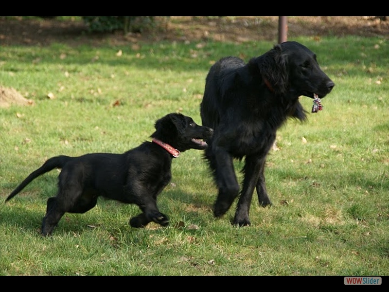 25.3.11 Milka mit Tante