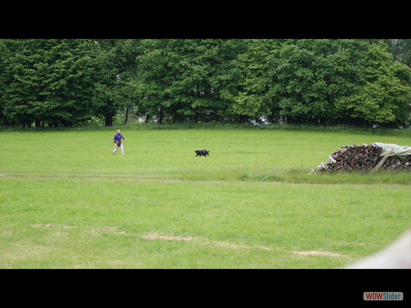26.12.12 Milka man-trailing