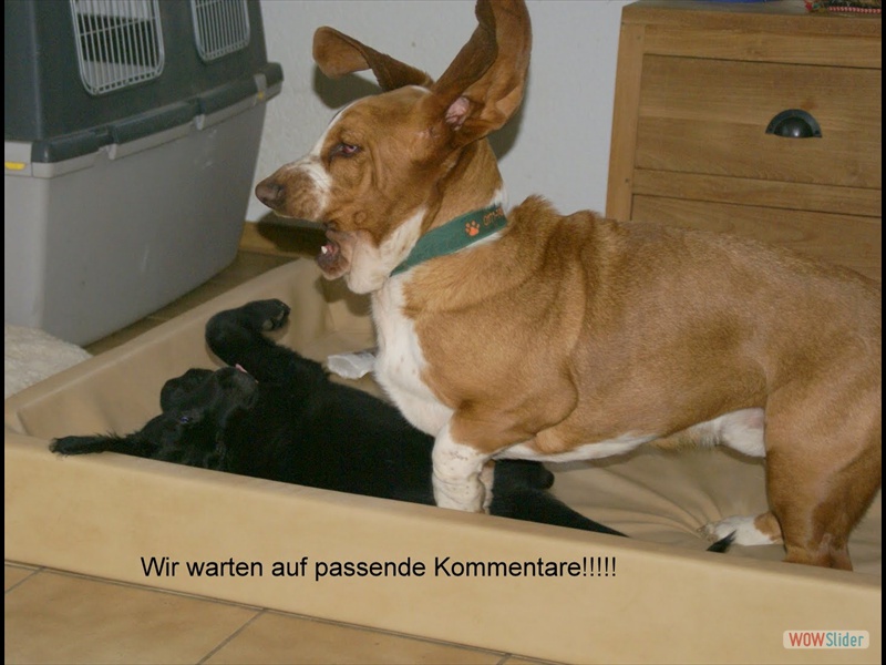 5.4.11 Milka und Sir Hiccough