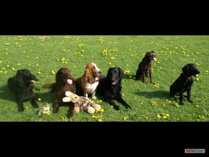 Ostern '11, Milka (r) & friends