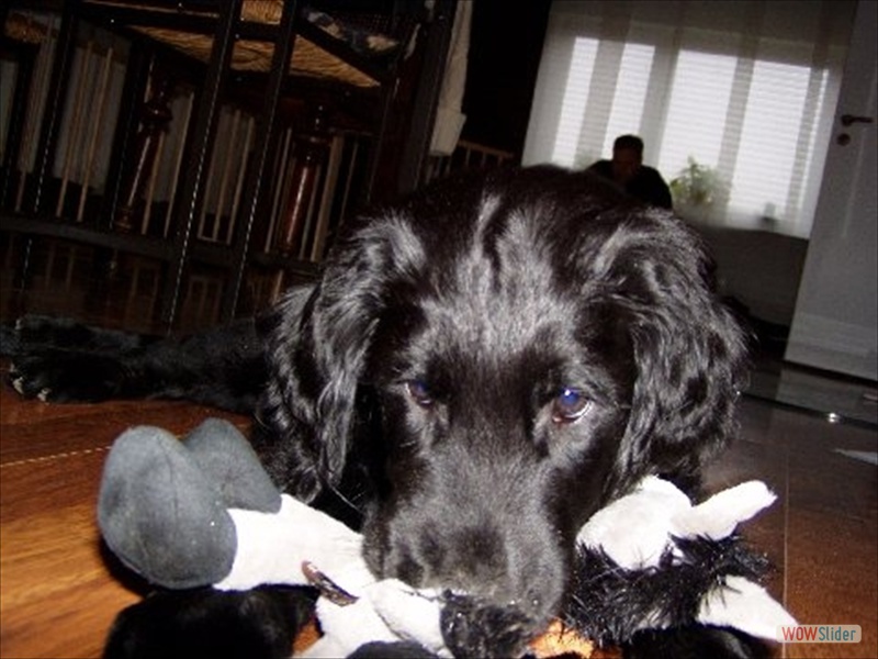 21.3.11 im neuen Zuhause