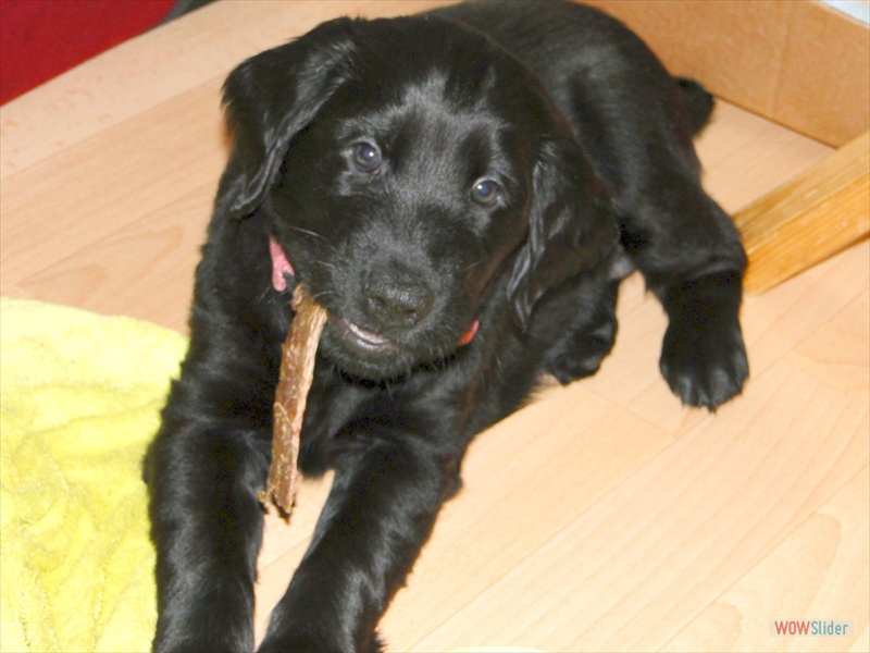 21.2.11 Rosa schmeckts