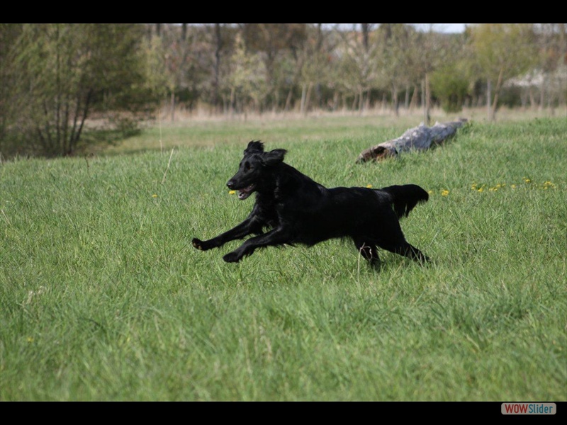 Juni 2012_10