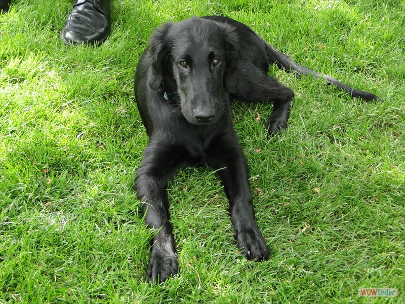 Rosa zu Besuch bei Mama, 14-5-11