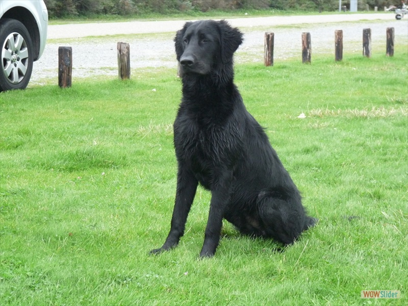 Damon, Okt 11