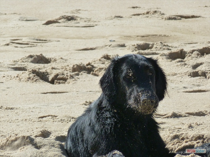 Bolko 27-8-11 (2)