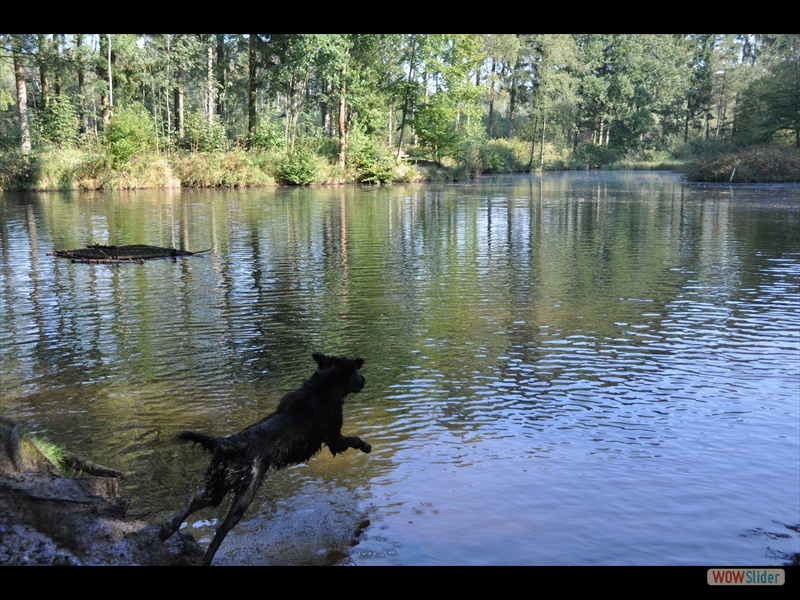 Bolko 28-9-11 (2)
