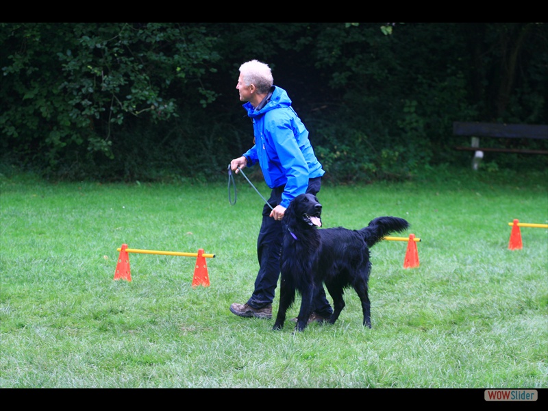 Welpentreffen 21-9-14 (73)