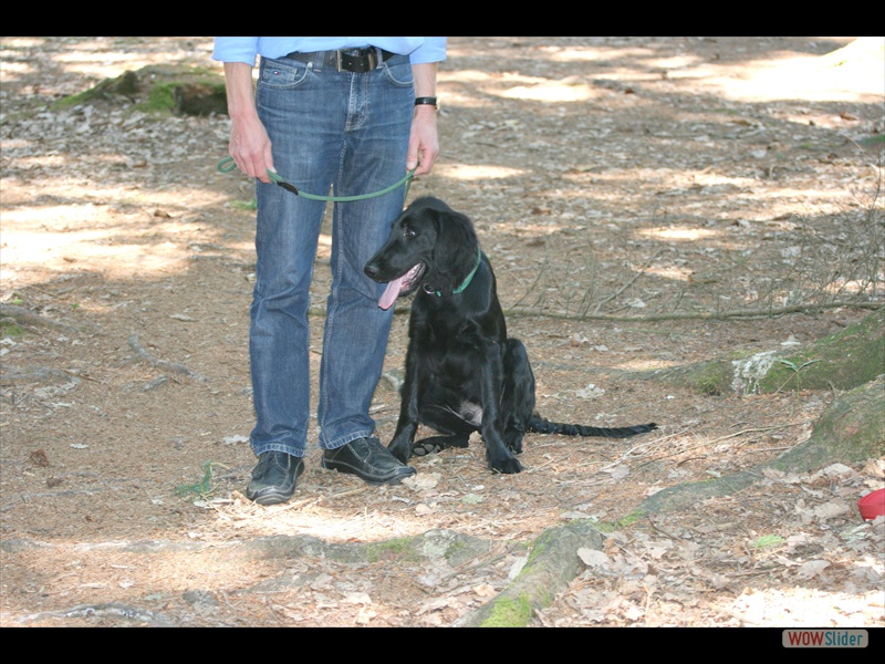 Welpentreffen 2-6-11 (121)