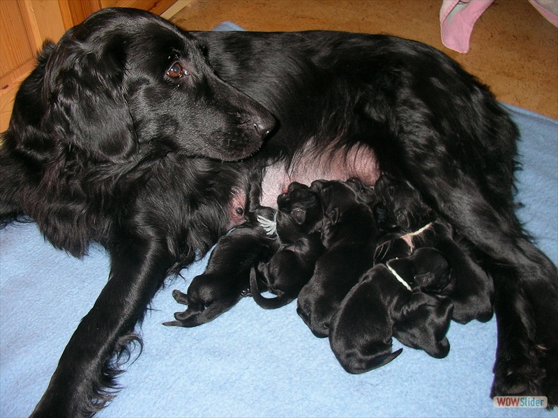 3.Tag, 12-1-11