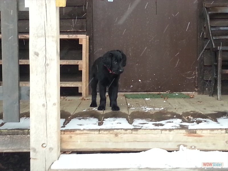 Caesar-Marlo 24.2.13