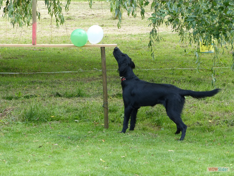Finja 2-7-13
