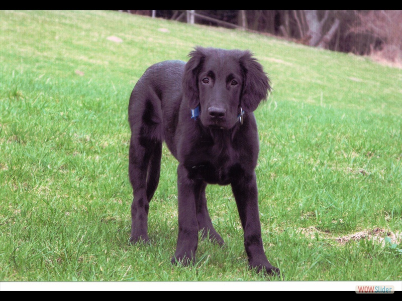 Gustav 19-4-13