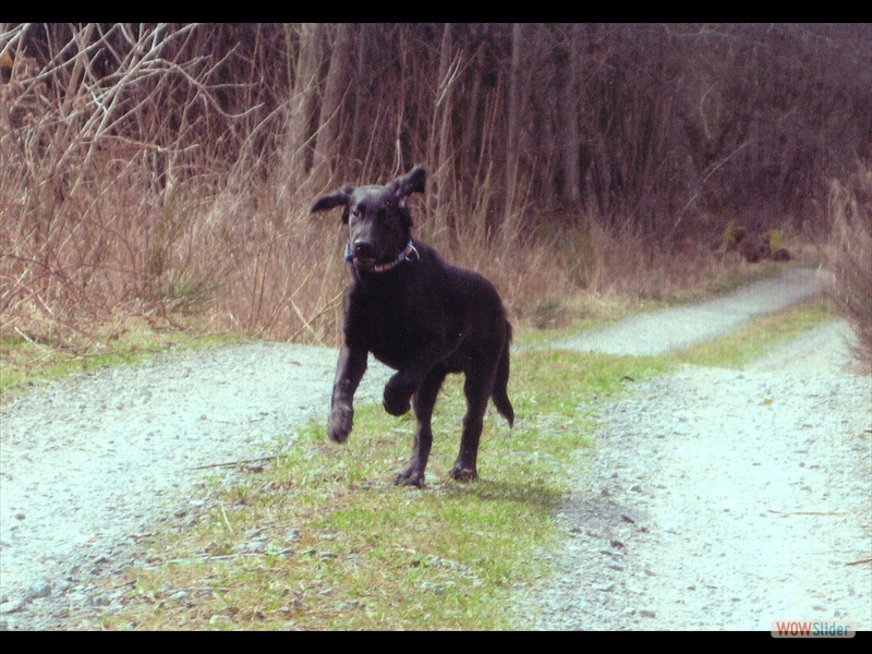 Gustav 19-4-2013