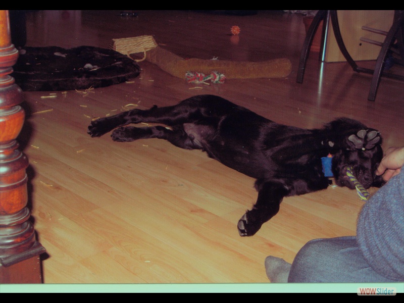 Gustav 8-4-13