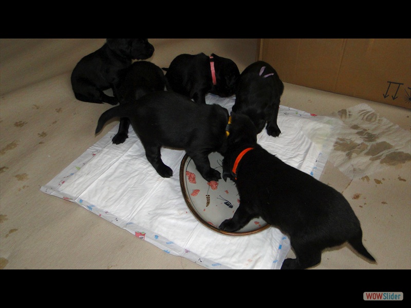 10.1.13  mit d F��en im Essen
