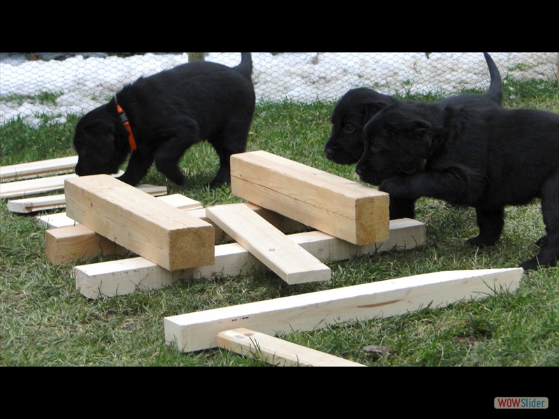 25.1.13 (20) Tolle Baustelle