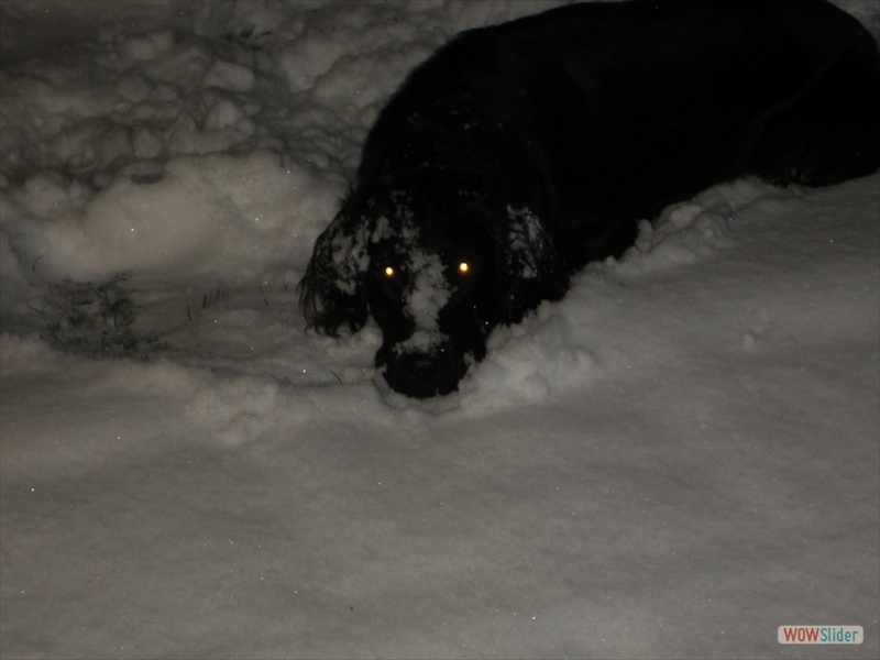 Lasse im Schnee, 29-12-14