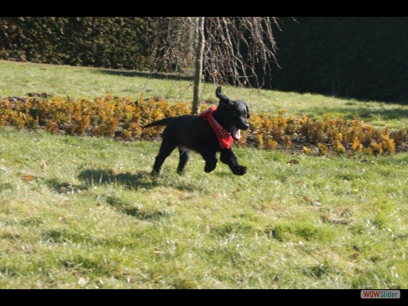 Janosch 5-3-13 (20)