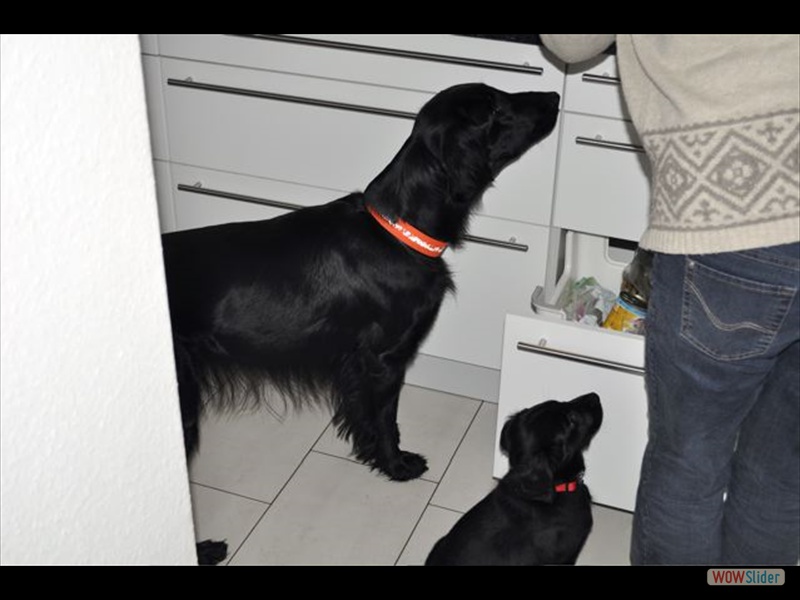 17-2-13 Tjorven  u Emmy (1)