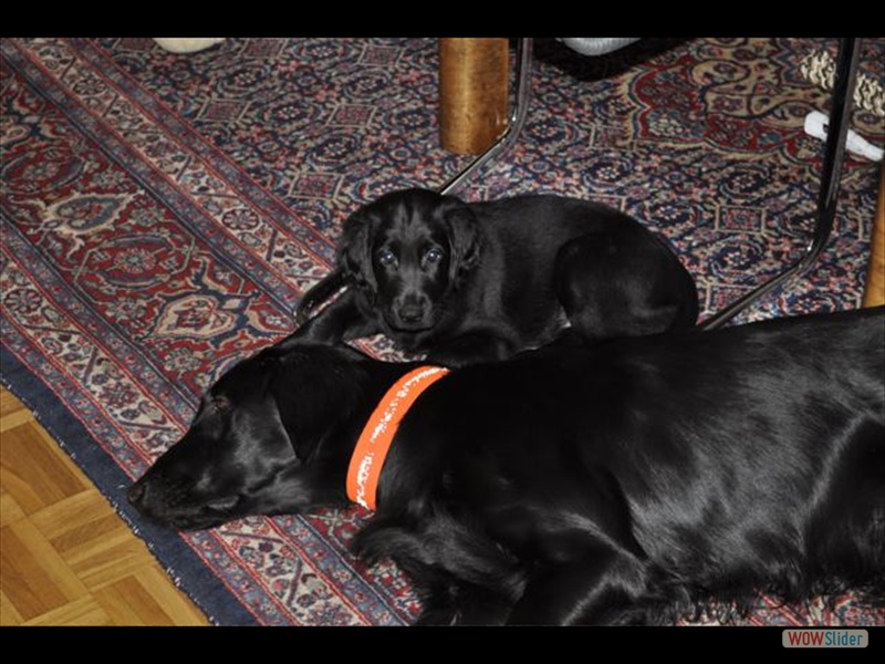 17-2-13 Tjorven  u Emmy (6)