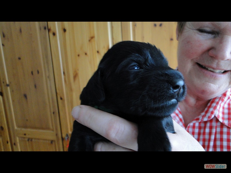 31.12. H gr�n - �ffnet als erste die Augen