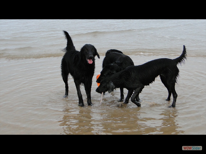 5-7-13 vli Eliot, Alisha, Chica