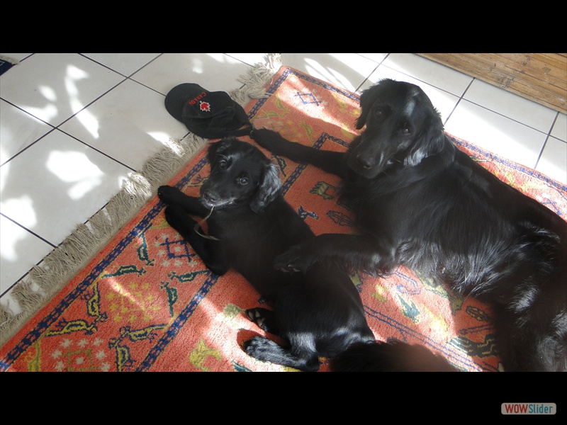 Chica mit Mama, 2-3-13 (7)