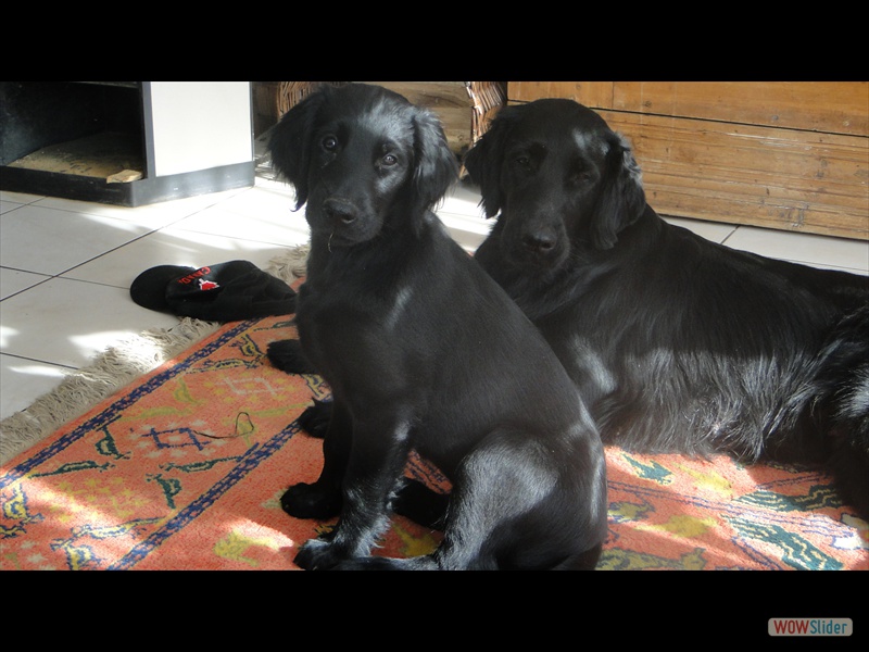 Chica tobt mit Mama, 2-3-13 (1)