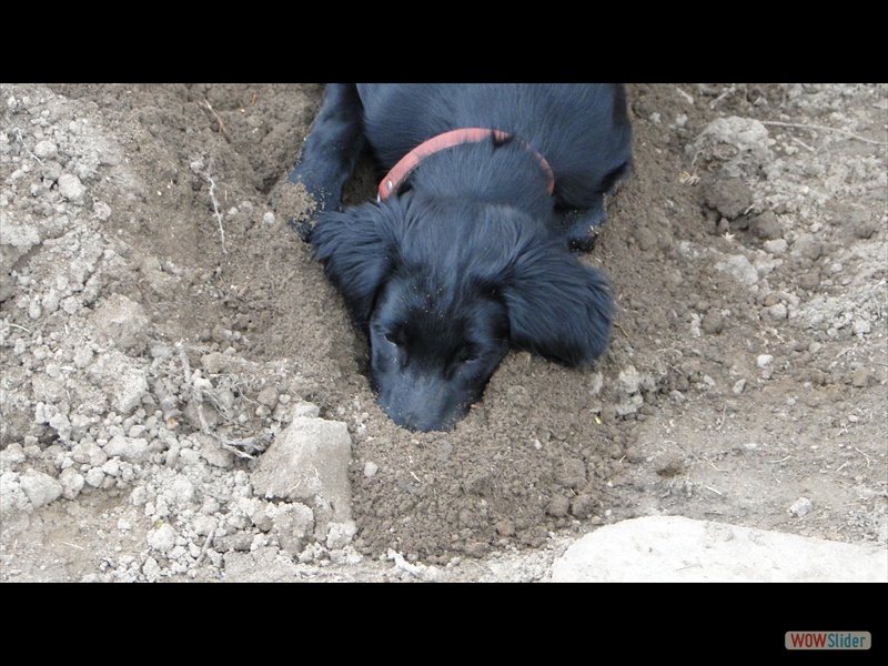 Chica u Eliot 16-4-13 (36)