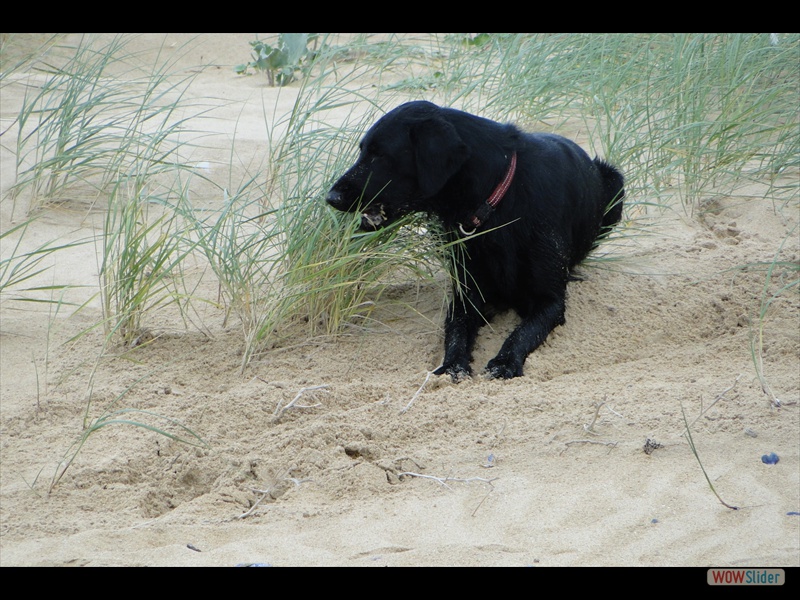 Frankreich 27-8-14 (11)