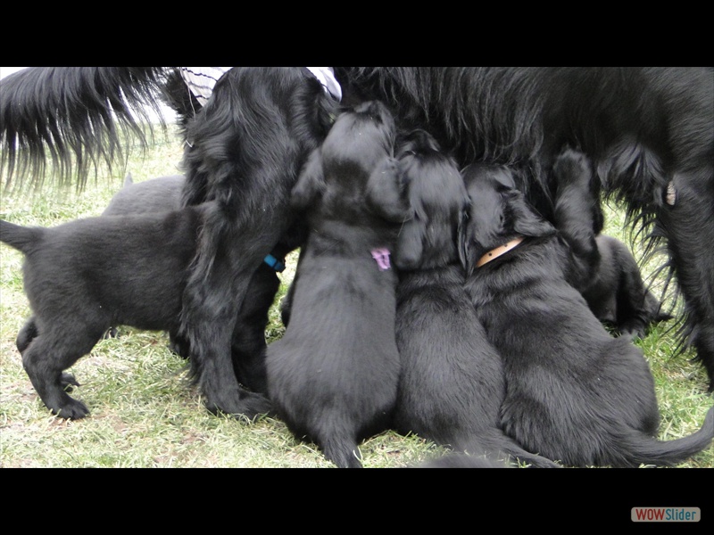 25.1.13 (41)Mama ist d beste