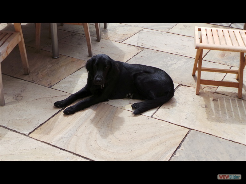 Akeela-Claudius 31-8-13